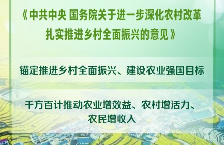 2025年中央一號文件發(fā)布 提出扎實(shí)推進(jìn)鄉(xiāng)村全面振興